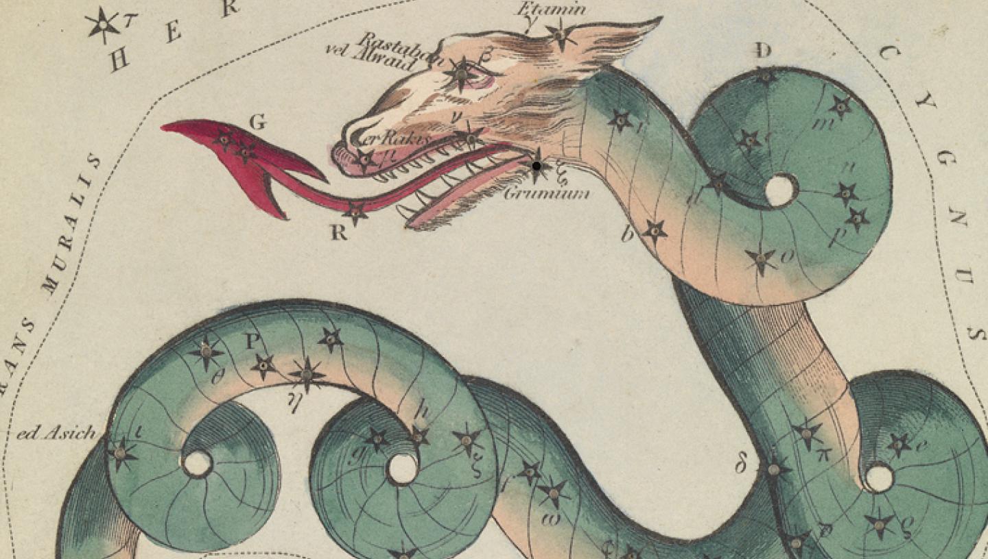 Illustration of a dragon used on a constellation chart in the National Maritime Museum